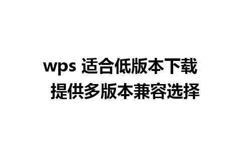 wps 适合低版本下载  提供多版本兼容选择