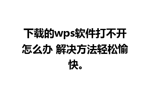 下载的wps软件打不开怎么办 解决方法轻松愉快。