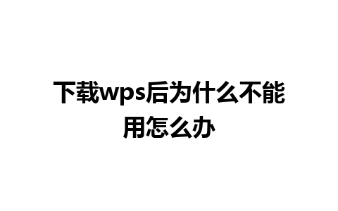 下载wps后为什么不能用怎么办