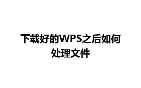 下载好的WPS之后如何处理文件