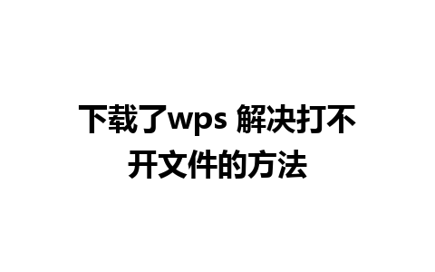 下载了wps 解决打不开文件的方法