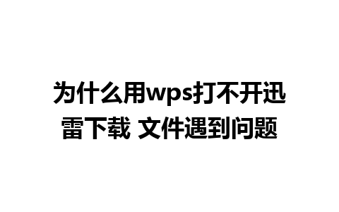 为什么用wps打不开迅雷下载 文件遇到问题
