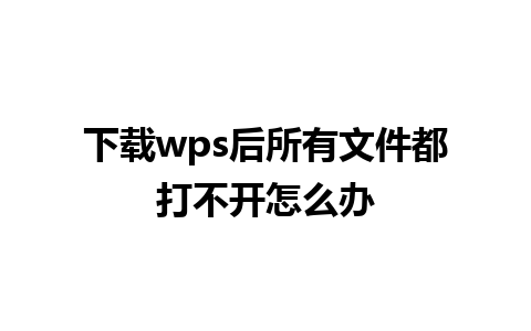 下载wps后所有文件都打不开怎么办 