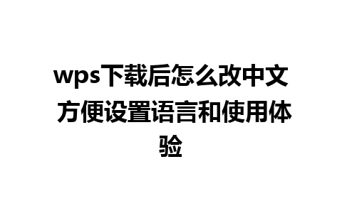 wps下载后怎么改中文 方便设置语言和使用体验