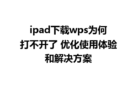 ipad下载wps为何打不开了 优化使用体验和解决方案