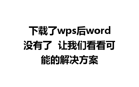 下载了wps后word没有了  让我们看看可能的解决方案