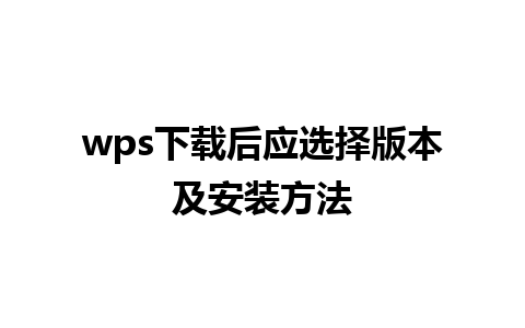 wps下载后应选择版本及安装方法