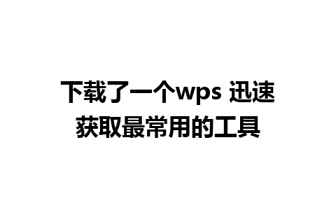 下载了一个wps 迅速获取最常用的工具