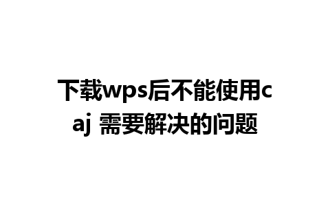 下载wps后不能使用caj 需要解决的问题