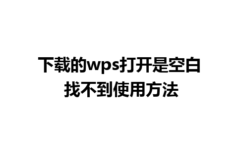 下载的wps打开是空白 找不到使用方法