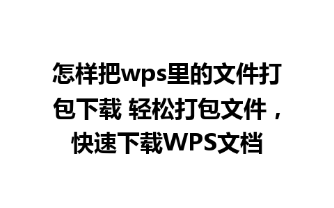 怎样把wps里的文件打包下载 轻松打包文件，快速下载WPS文档