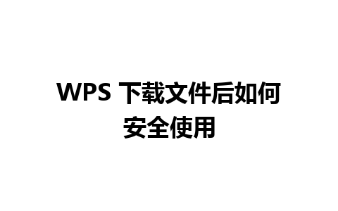 WPS 下载文件后如何安全使用