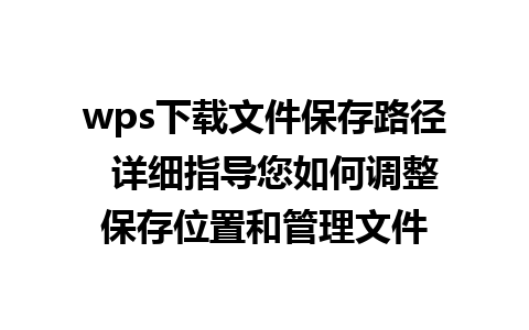 wps下载文件保存路径  详细指导您如何调整保存位置和管理文件