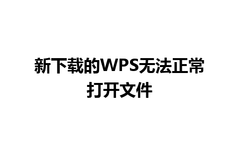 新下载的WPS无法正常打开文件