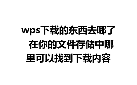 wps下载的东西去哪了  在你的文件存储中哪里可以找到下载内容