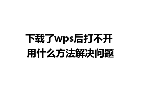 下载了wps后打不开 用什么方法解决问题