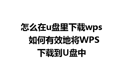 怎么在u盘里下载wps  如何有效地将WPS下载到U盘中