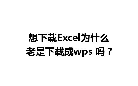 想下载Excel为什么老是下载成wps 吗？