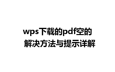 wps下载的pdf空的  解决方法与提示详解