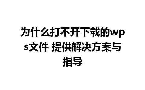 为什么打不开下载的wps文件 提供解决方案与指导