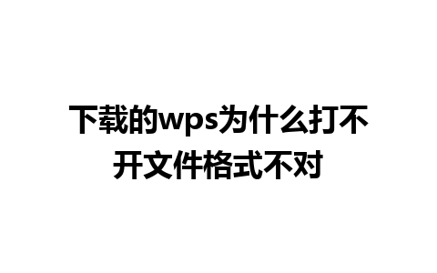 下载的wps为什么打不开文件格式不对