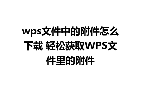 wps文件中的附件怎么下载 轻松获取WPS文件里的附件