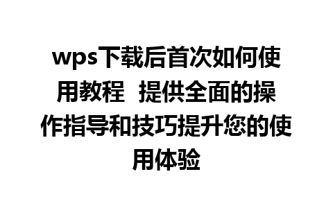 wps下载后首次如何使用教程  提供全面的操作指导和技巧提升您的使用体验