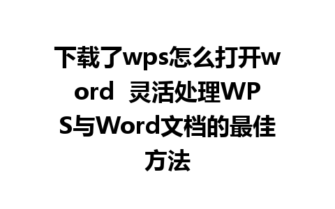 下载了wps怎么打开word  灵活处理WPS与Word文档的最佳方法