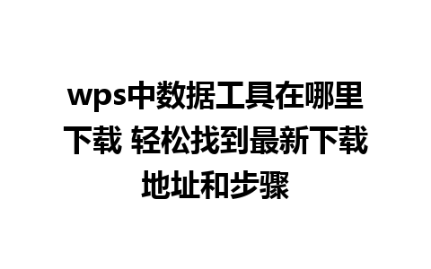 wps中数据工具在哪里下载 轻松找到最新下载地址和步骤