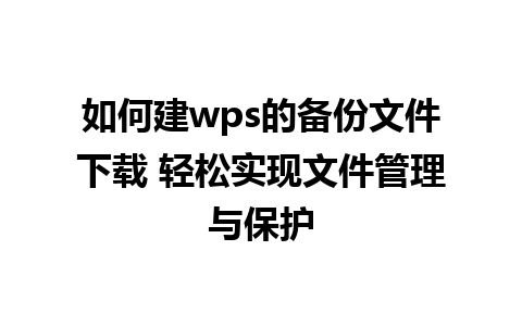 如何建wps的备份文件下载 轻松实现文件管理与保护