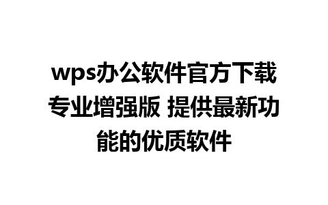 wps办公软件官方下载专业增强版 提供最新功能的优质软件