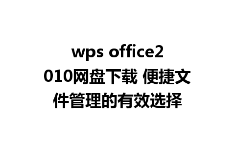 wps office2010网盘下载 便捷文件管理的有效选择