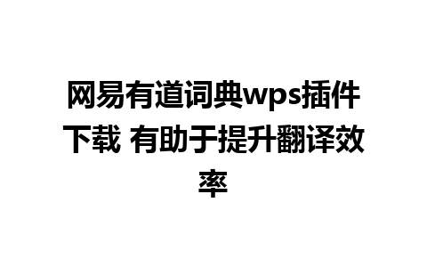 网易有道词典wps插件下载 有助于提升翻译效率