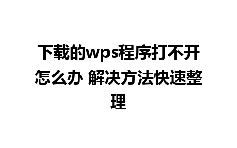 下载的wps程序打不开怎么办 解决方法快速整理