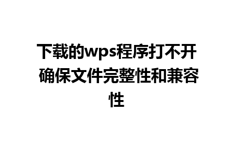 下载的wps程序打不开 确保文件完整性和兼容性