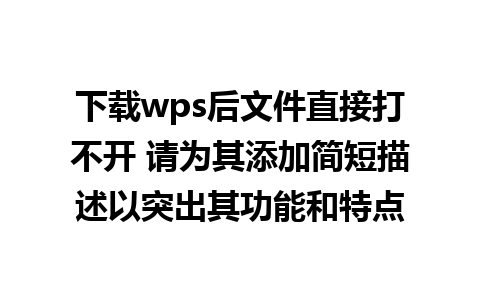 下载wps后文件直接打不开 请为其添加简短描述以突出其功能和特点