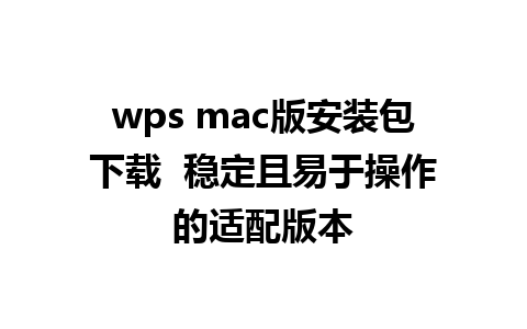 wps mac版安装包下载  稳定且易于操作的适配版本