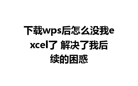 下载wps后怎么没我excel了 解决了我后续的困惑