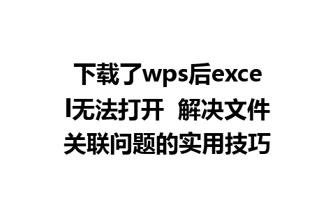 下载了wps后excel无法打开  解决文件关联问题的实用技巧