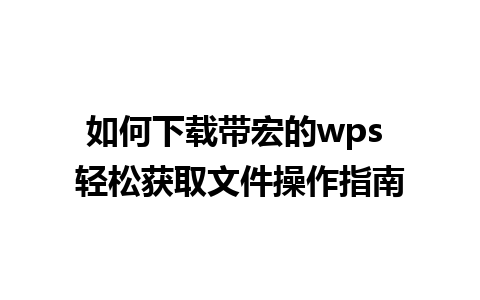 如何下载带宏的wps 轻松获取文件操作指南