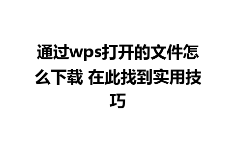 通过wps打开的文件怎么下载 在此找到实用技巧