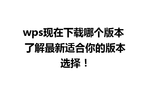 wps现在下载哪个版本 了解最新适合你的版本选择！