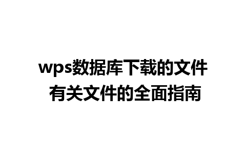 wps数据库下载的文件 有关文件的全面指南