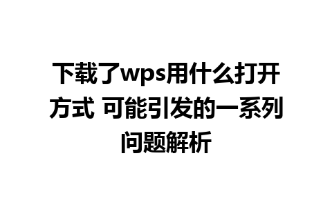 下载了wps用什么打开方式 可能引发的一系列问题解析