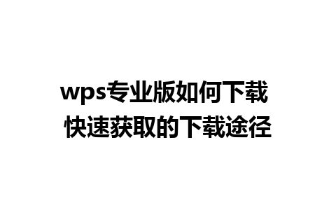 wps专业版如何下载 快速获取的下载途径