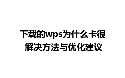 下载的wps为什么卡很 解决方法与优化建议