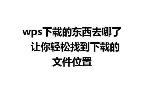 wps下载的东西去哪了  让你轻松找到下载的文件位置