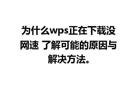 为什么wps正在下载没网速 了解可能的原因与解决方法。