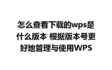 怎么查看下载的wps是什么版本 根据版本号更好地管理与使用WPS