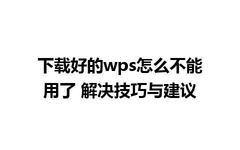 下载好的wps怎么不能用了 解决技巧与建议